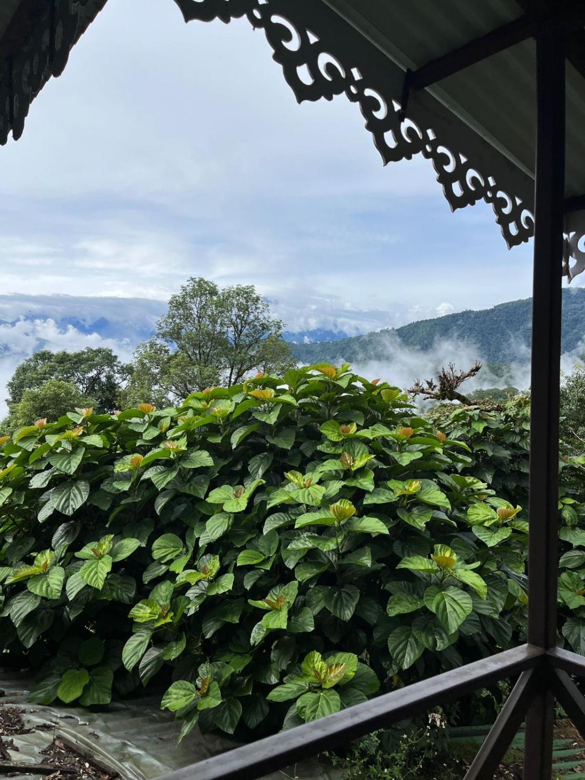 The Barfung Retreat Bed & Breakfast Gangtok Exterior photo